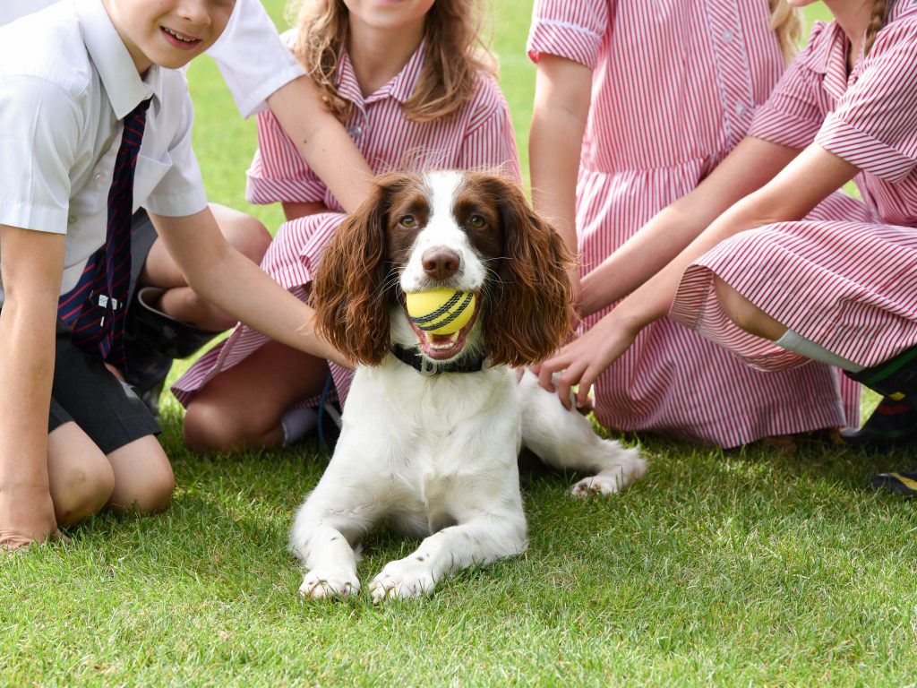 Children and Dog