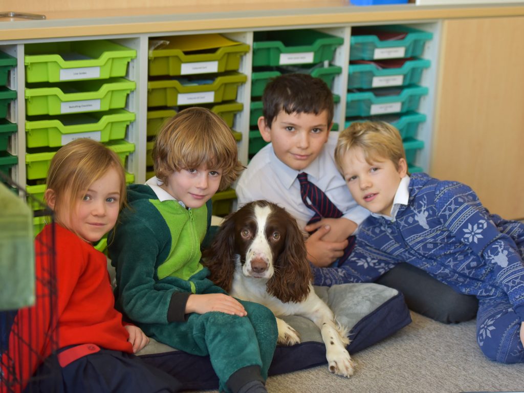 Four kids sat in front of green trays, stroking a brown and white dog.