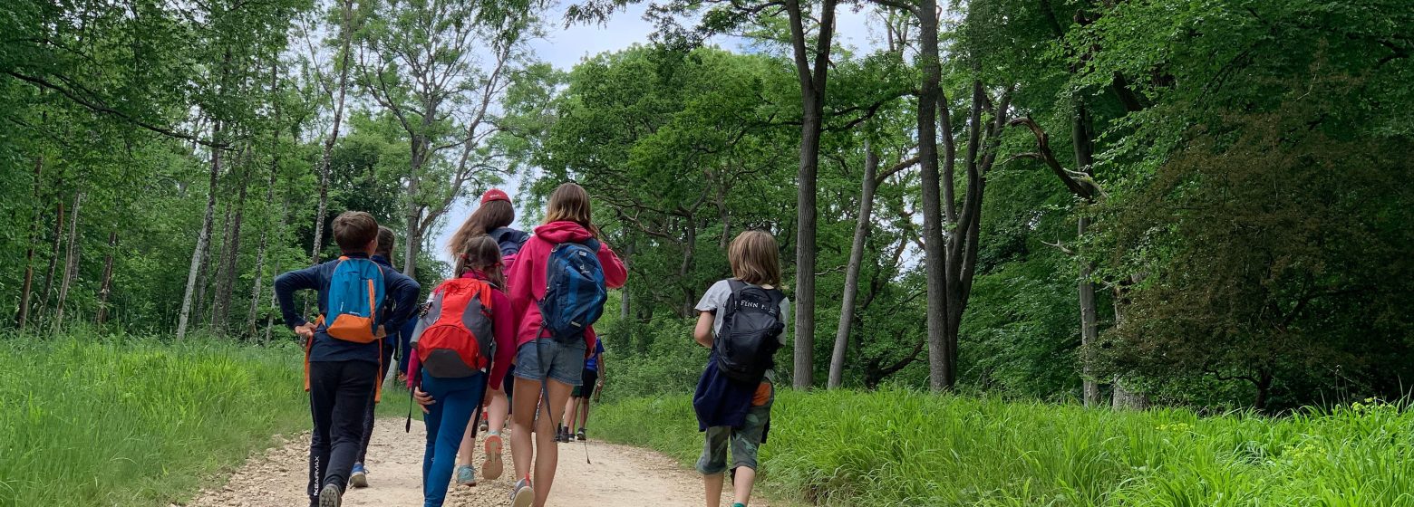 Children walking down a path in the woods