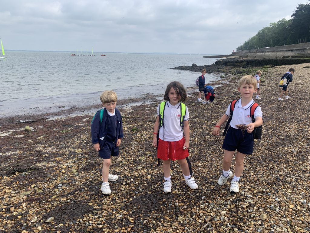 Year 3 Isle of Wight Trip Gallery Princes Mead School