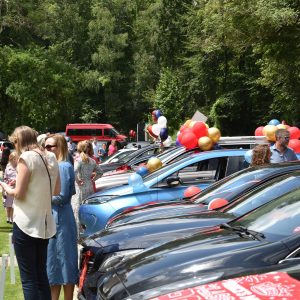 cars with balloons lined up in a car park