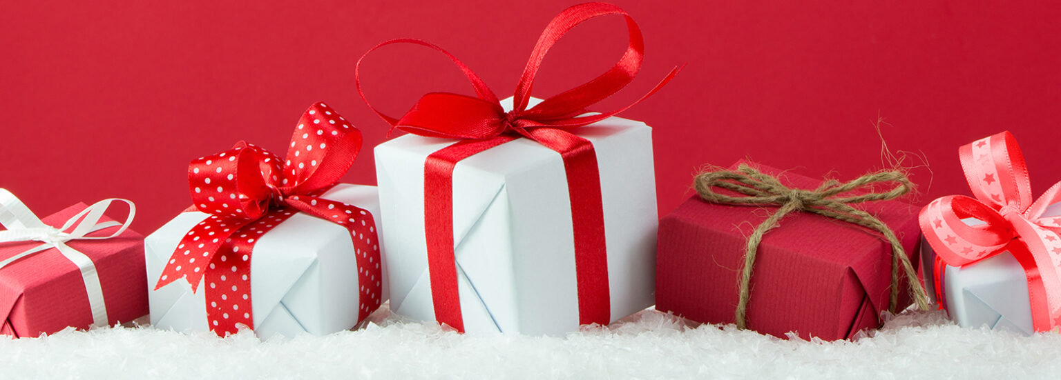 Christmas Gift Appeal Princes Mead School