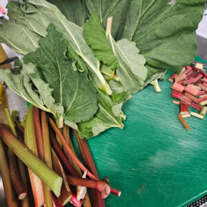 05 01 2025 Gardening Club Rhubarb Made Into Compote (2)