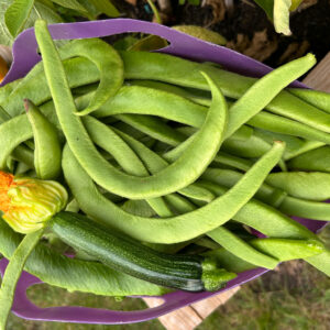 09 06 2023 Gardening Club (1)