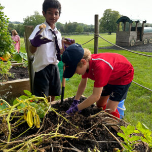 09 06 2023 Gardening Club (2)